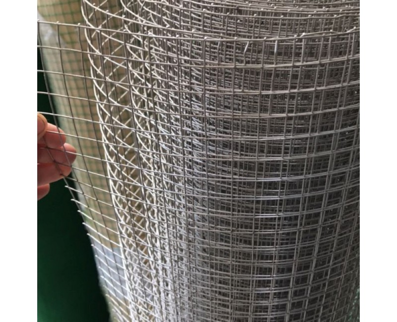 Tin tức Tin tức